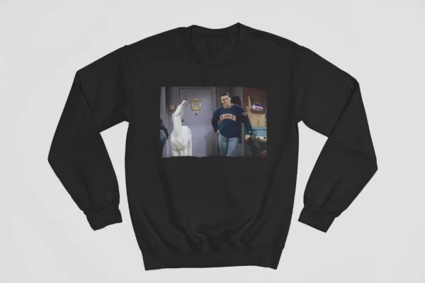 tv friends sweatshirt